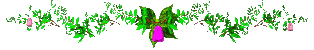 flowerbar-madeira (314x50, 21Kb)