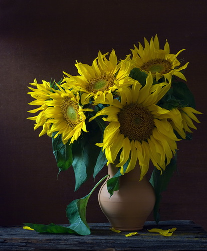 0_85a59_6c7c741e_L (413x500, 72Kb)