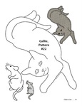  Claire_S_Cats_Page_39 (445x576, 42Kb)