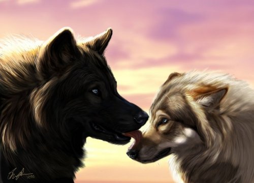 1256210960_31276446 (500x360, 28Kb)