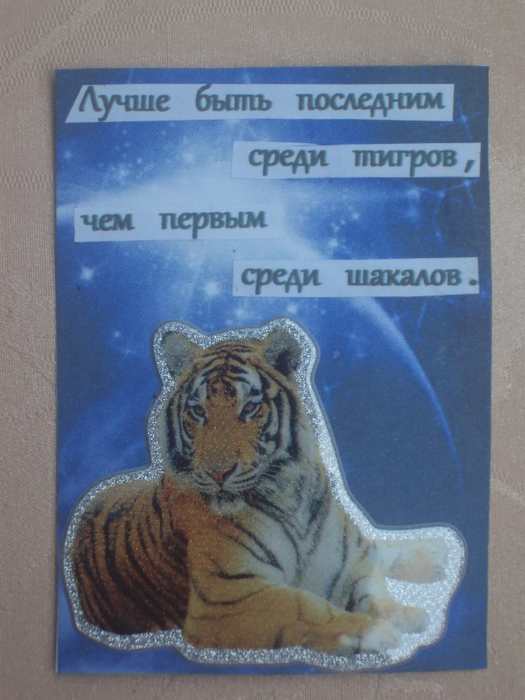 DSC01951 (525x700, 268Kb)