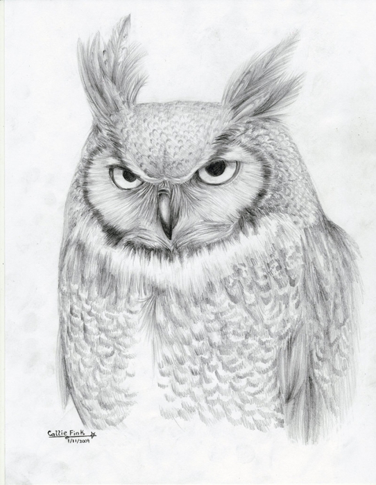 3623822_Great_Horned_Owl_by_Elvis882 (542x700, 229Kb)