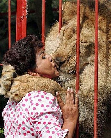 getImage (387x480, 59Kb)