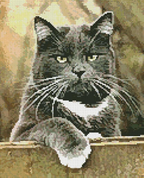 3404189_Cat_on_a_Fence_14 (566x700, 330Kb)