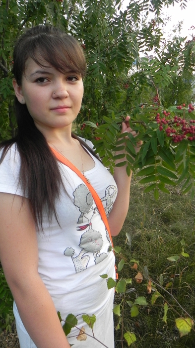 DSCN6888 (393x700, 246Kb)