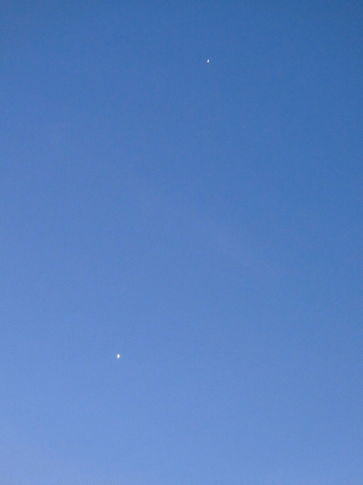 CIMG1130 (525x700, 167Kb)