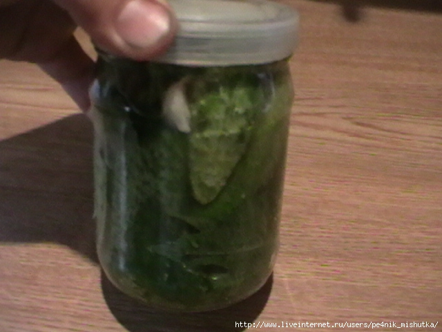 IMGA0401 (640x480, 158Kb)