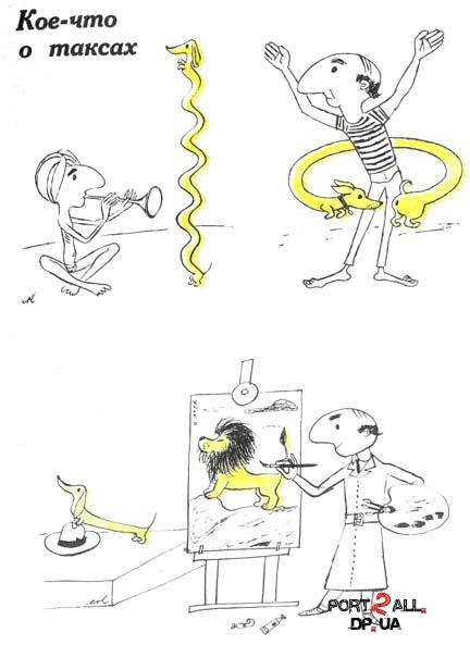 1231444800_05humor (432x593, 86Kb)