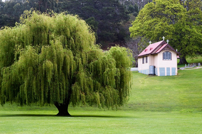 tasmania (3) (700x466, 276Kb)