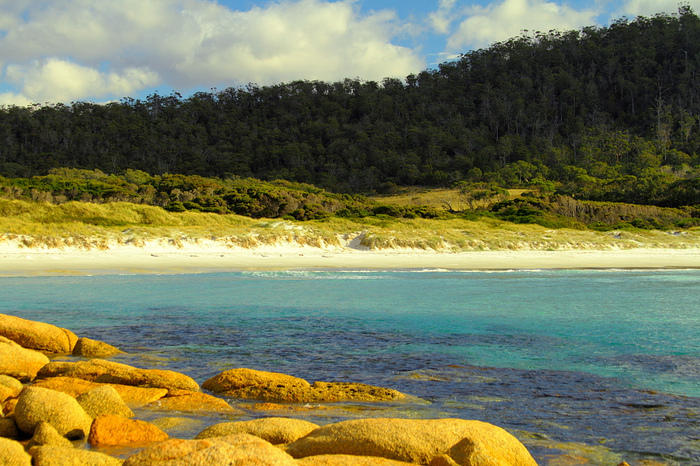 tasmania (10) (700x466, 258Kb)