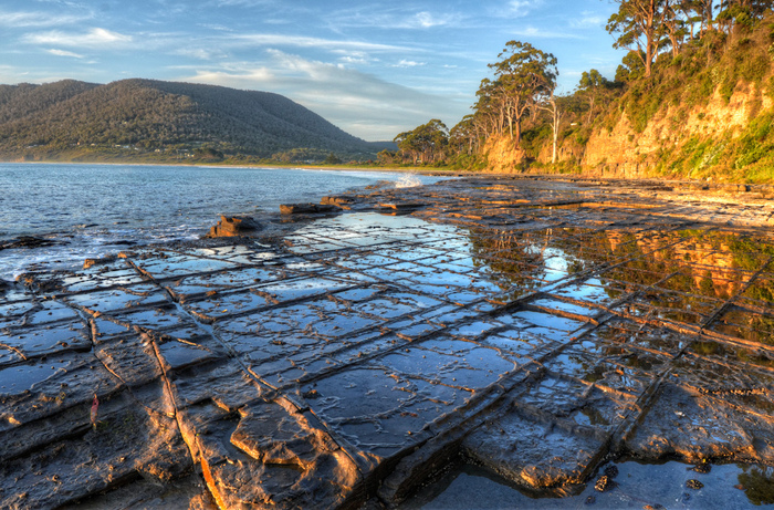 tasmania (14) (700x461, 314Kb)