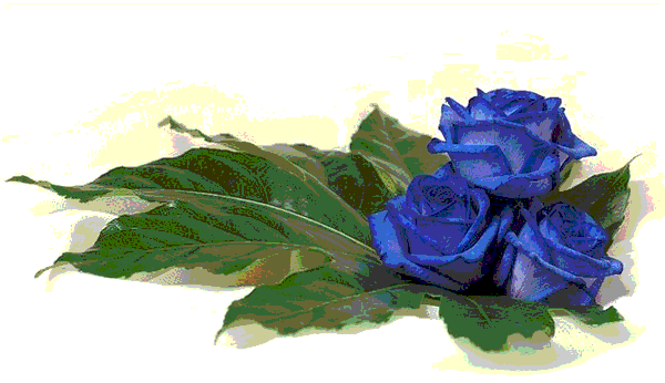 1663ef50d4c7 (600x346, 34Kb)