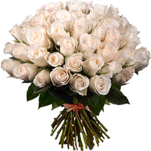 0_6ea84_7875b42c_M.jpg (300x300, 148Kb)