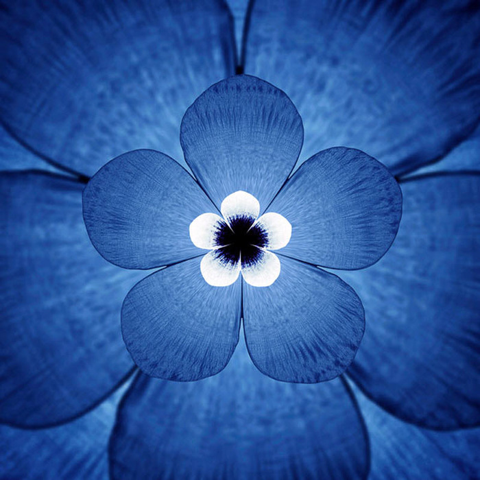 4826692_1333893533_933 (700x700, 128Kb)