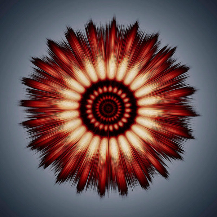 4826692_1333893590_1319 (700x700, 168Kb)