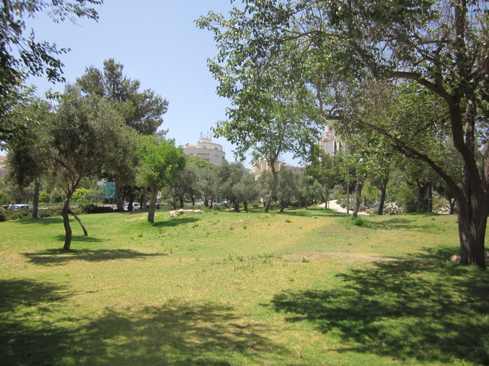 IMG_4909 (700x525, 361Kb)