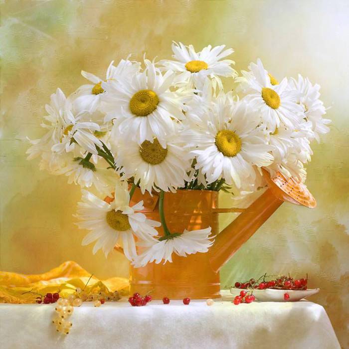 b68fa25cfe56f5543bc2c7e7b6cea3d654e5cf96560623 (700x700, 53Kb)