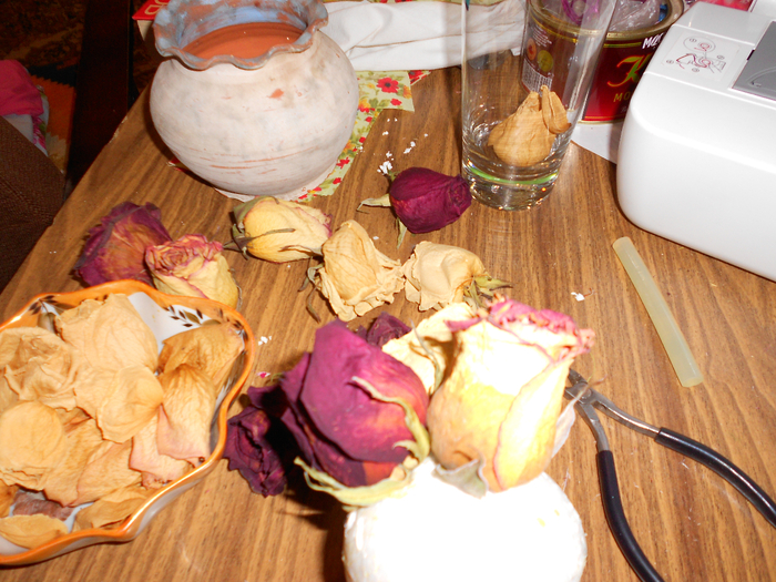 DSCN1012 (700x525, 515Kb)
