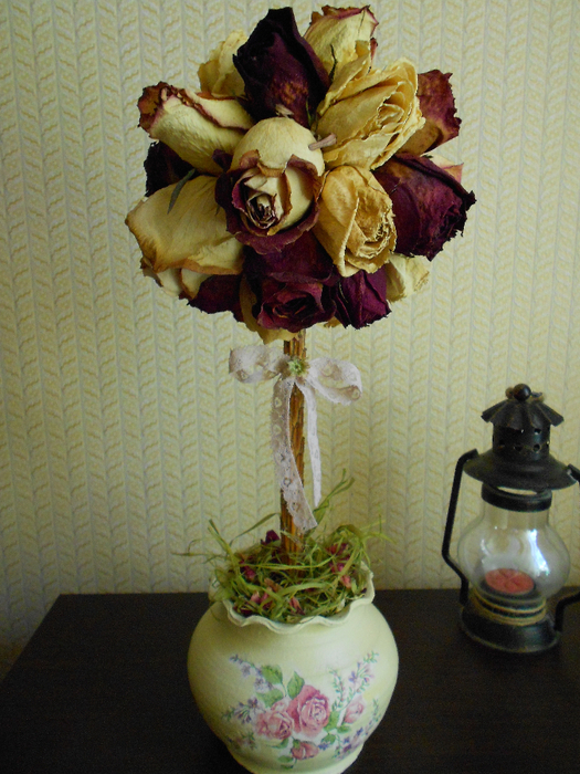 DSCN1053 (525x700, 487Kb)