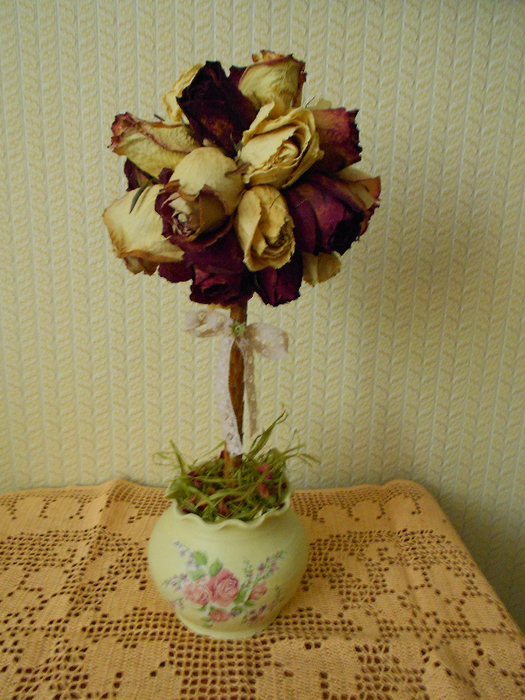 DSCN1060 (525x700, 517Kb)
