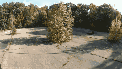 tumblr_lrmz8bNide1qe4t9bo1_500 (500x281, 486Kb)