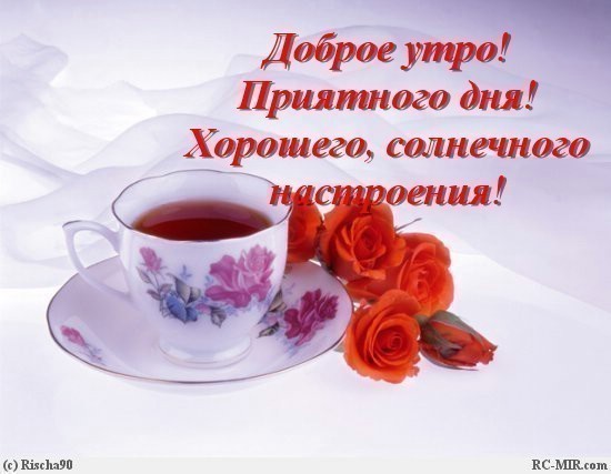 bdb51a9894d67a262d772687d1c86ff6 (550x427, 46Kb)