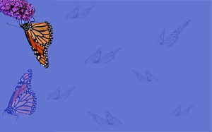 - (300x187, 10Kb)