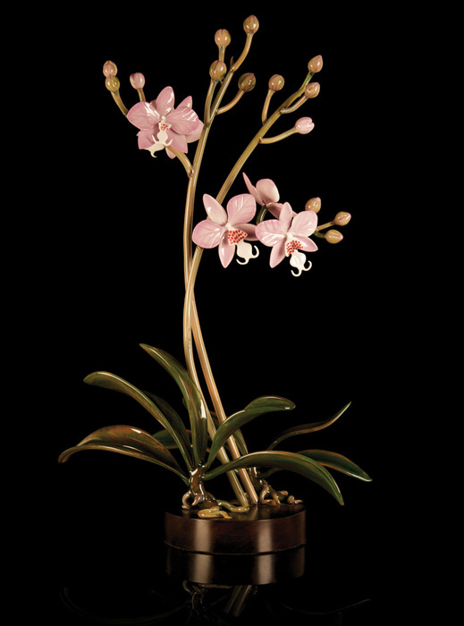 phalaenopsisschillerian (519x700, 57Kb)