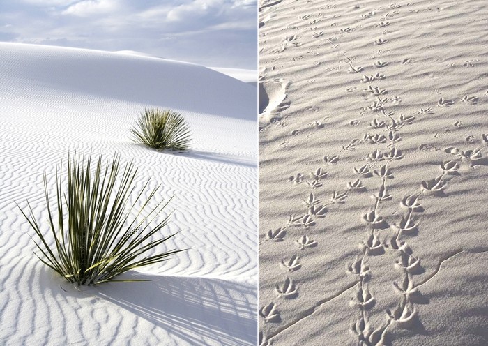 White_Sands_park_4 (700x496, 126Kb)