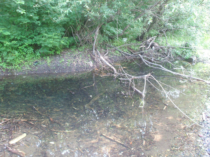DSCF2284 (700x523, 590Kb)