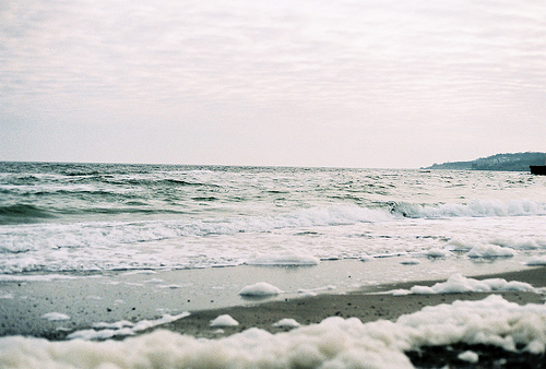 3168886_tumblr_m3z3jkO8Jt1r6j0hbo1_500 (500x338, 101Kb)