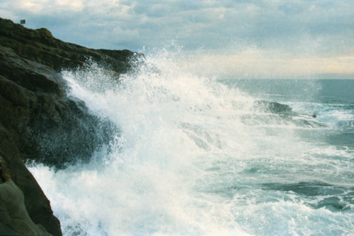3168886_tumblr_m4wzxqsxbX1qjh014o1_500 (500x334, 89Kb)