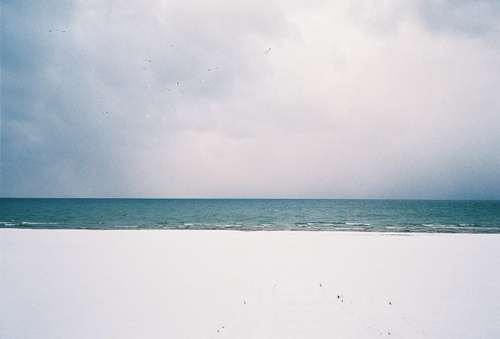3168886_tumblr_m46z5gcZc91r78yyco1_500 (500x339, 60Kb)