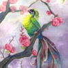 1316358341_purple_and_green (100x100, 5Kb)
