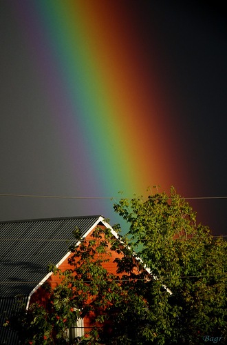 0_70425_4b25a6d3_L (330x500, 53Kb)