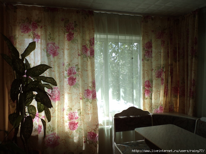DSC02511 (700x525, 269Kb)
