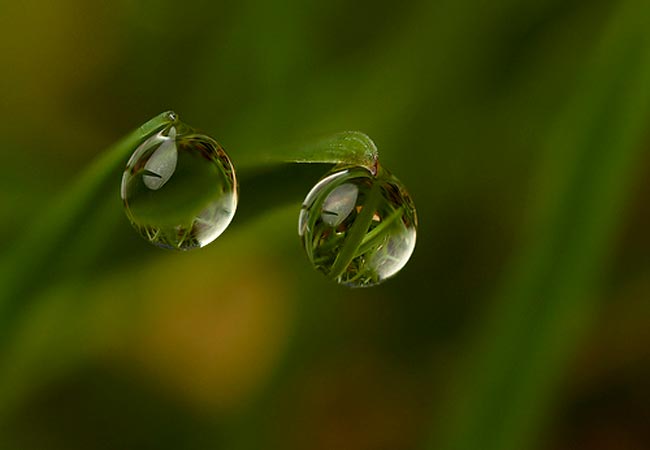 water_drops_17 (650x450, 16Kb)