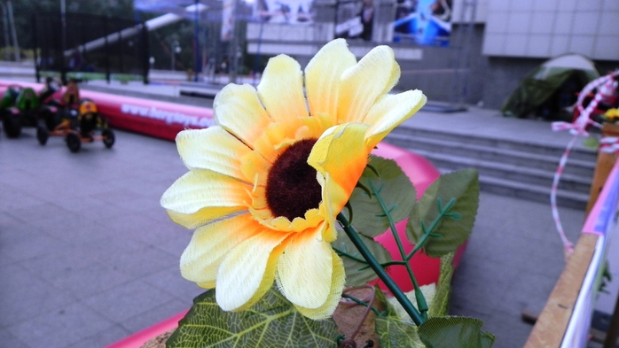 DSCN6865 (700x393, 198Kb)