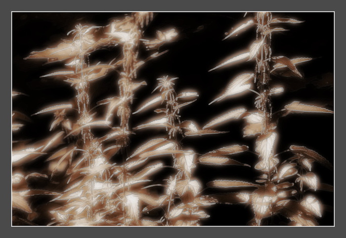 Les_IVA (700x481, 99Kb)