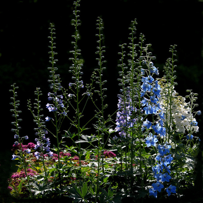 3166706_0_83696_c0d07c1d_XL (800x800, 238Kb)