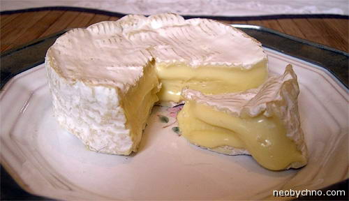 camembert-1 (500x288, 22Kb)