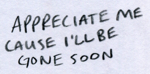 tumblr_lqidckUQjj1qehf4jo1_500 (500x247, 51Kb)