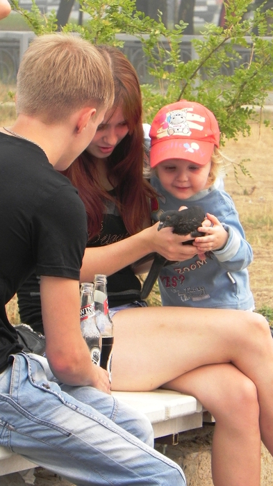 DSCN6930 (393x700, 222Kb)