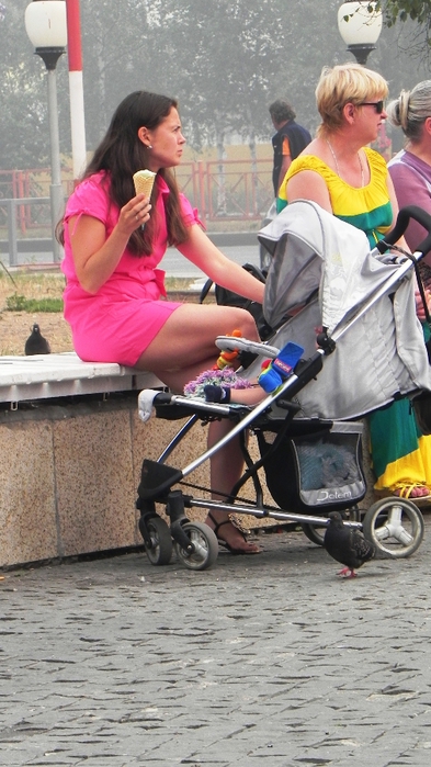 DSCN6932 (393x700, 242Kb)