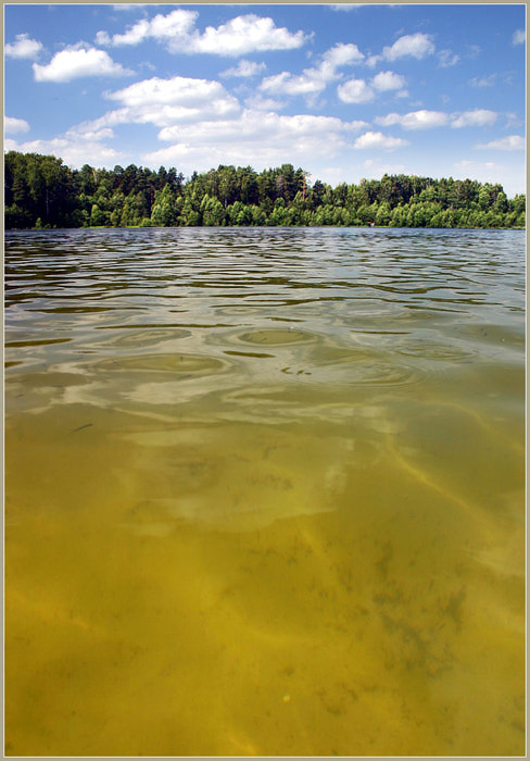 Озеро светлояр фото под водой