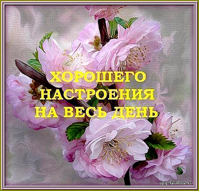 http://img0.liveinternet.ru/images/attach/c/6/89/900/89900464_0_4de57_1adca56_XL.jpg