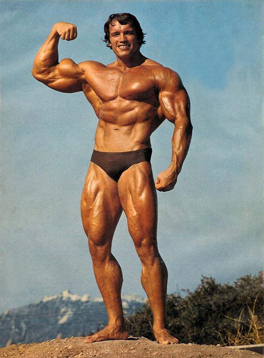 arnoldschwarzeneggerpicture (516x700, 73Kb)
