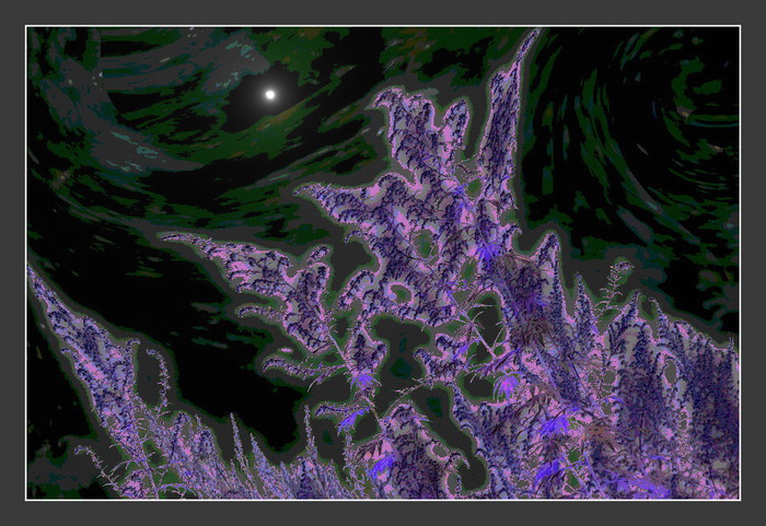 Polyn_II (700x481, 156Kb)