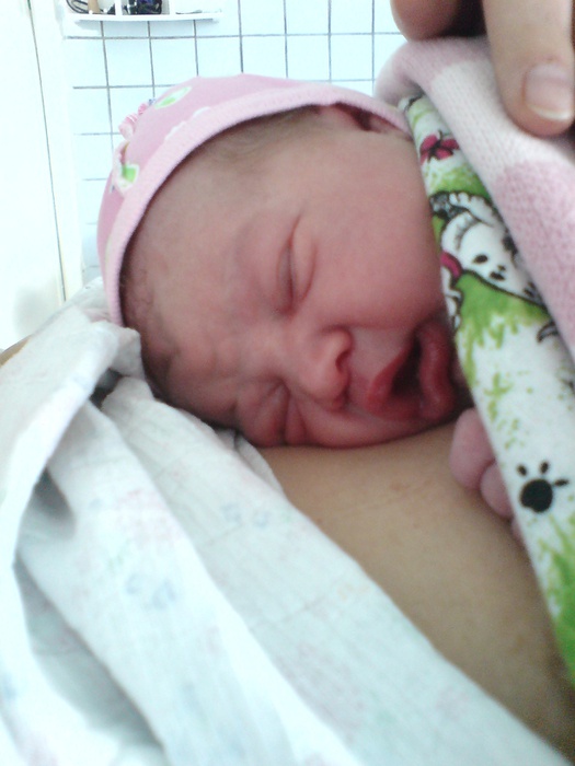 DSC03429 (525x700, 88Kb)