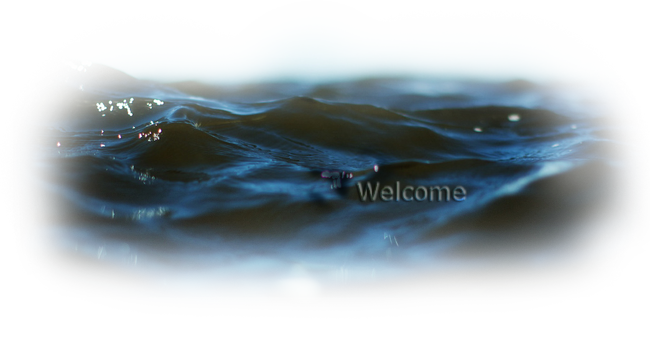 reWalls (650x354, 267Kb)